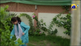 Mohra - Episode 28 - 11th September 2025